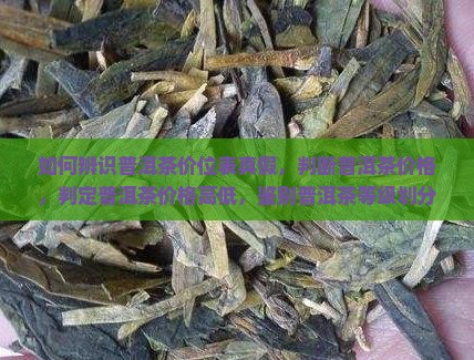 如何辨识普洱茶价位表