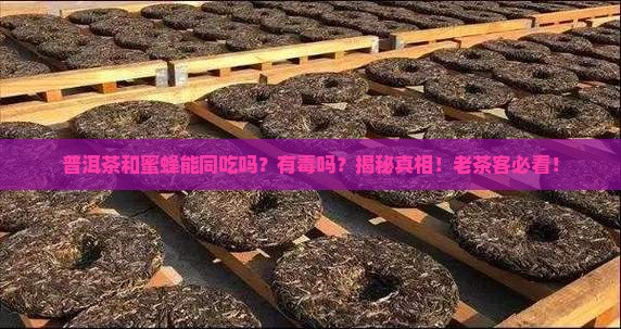 普洱茶和蜜蜂能同吃吗有毒吗