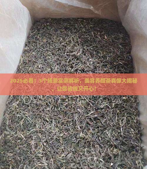 美容养颜茶有哪些