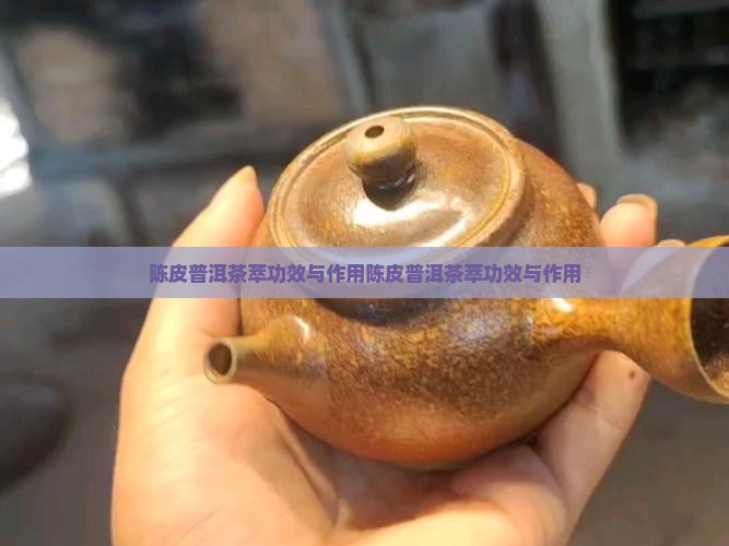 陈皮普洱茶萃功效与作用