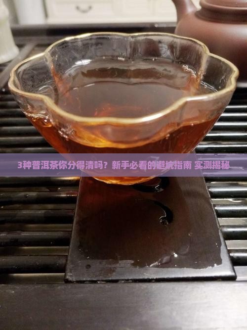 普洱茶有几种普洱茶分几种树
