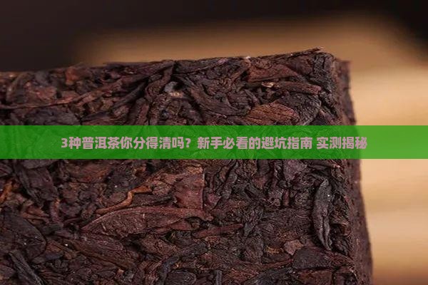普洱茶有几种普洱茶分几种树