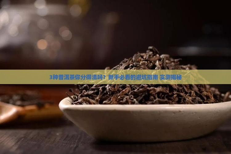 普洱茶有几种普洱茶分几种树