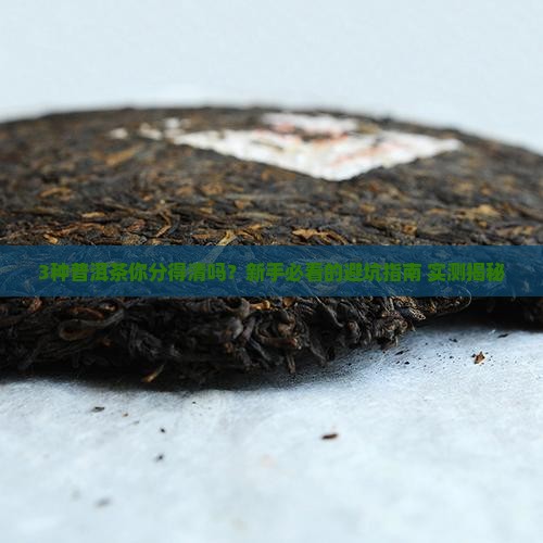 普洱茶有几种普洱茶分几种树