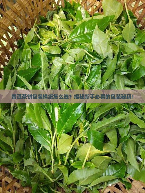 普洱茶饼包装棉纸的教程