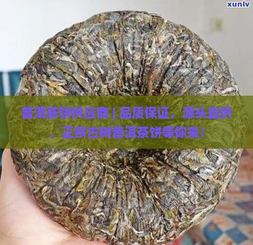 普洱茶饼供应商
