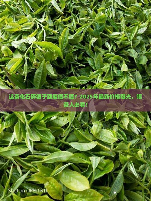 至尊茶化石碎银子价格