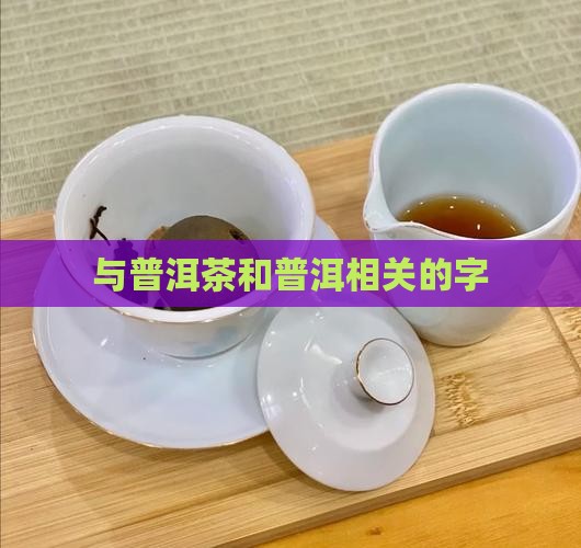 与普洱茶相关的字