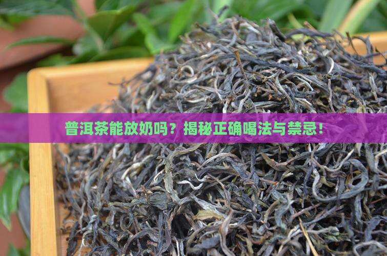 普洱茶能放奶吗