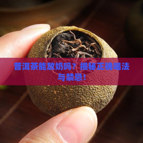 普洱茶能放奶吗