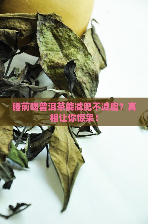睡前喝普洱茶能减肥不减脂吗
