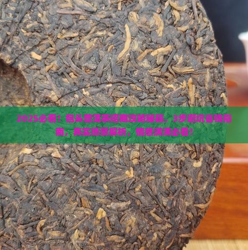 包头有品质的普洱茶招商