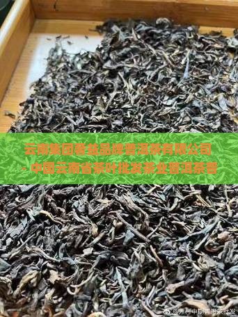 奢益品牌普洱茶