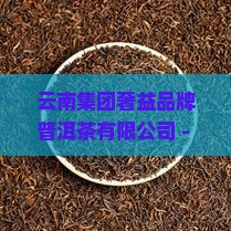 奢益品牌普洱茶