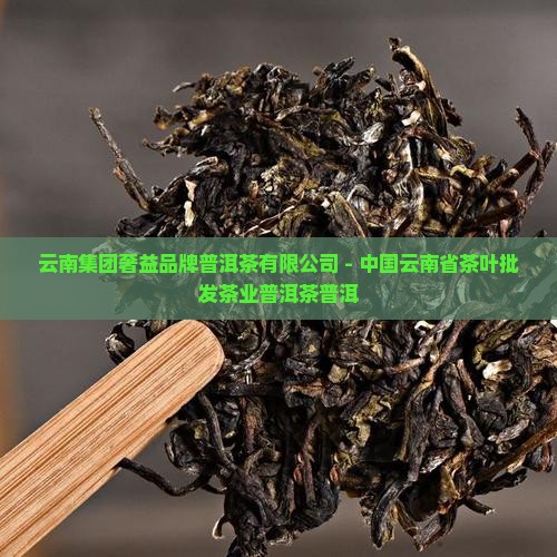 奢益品牌普洱茶