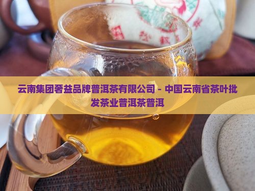 奢益品牌普洱茶