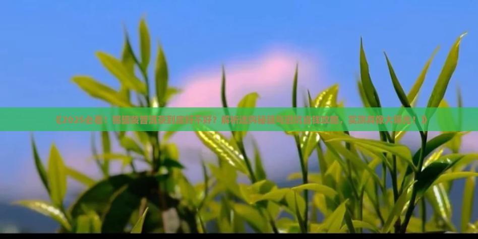 锡罐装普洱茶好不好