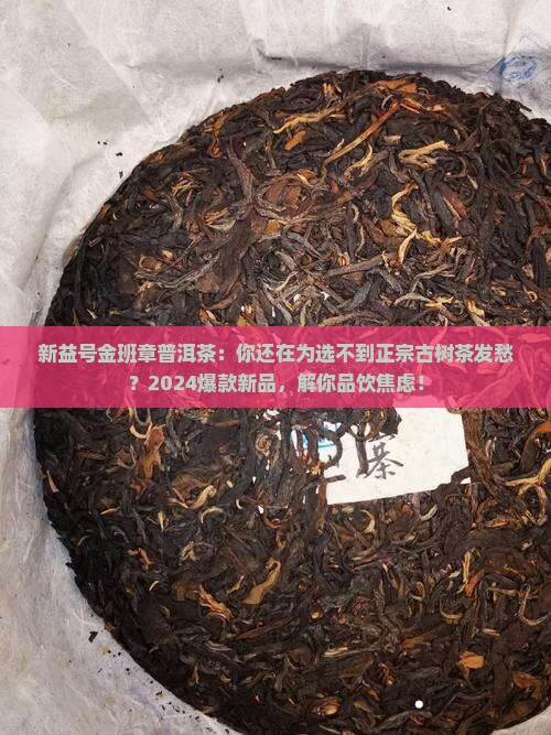 新益号金班章普洱茶 新益号金班章普洱茶