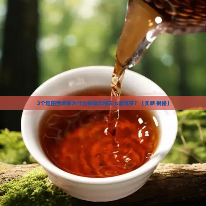 三七普洱茶的作用与功效