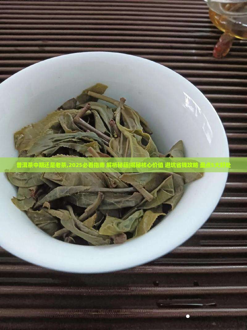 普洱茶中期还是老茶