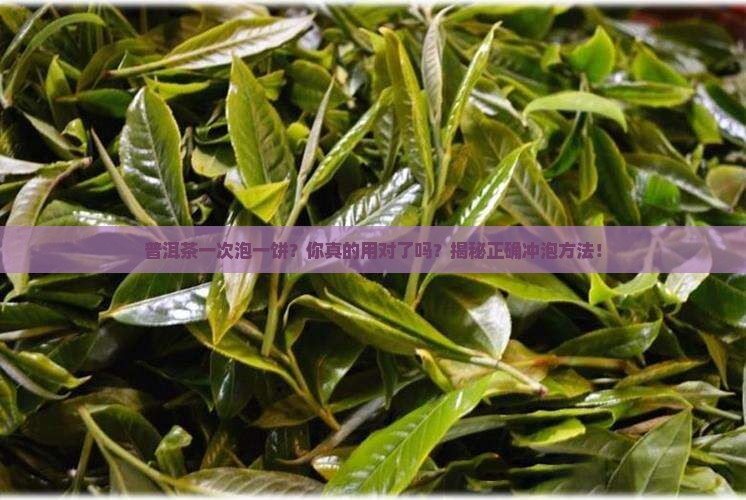 普洱茶一次泡一饼