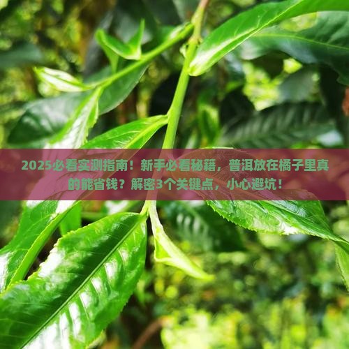 普洱放在橘子里