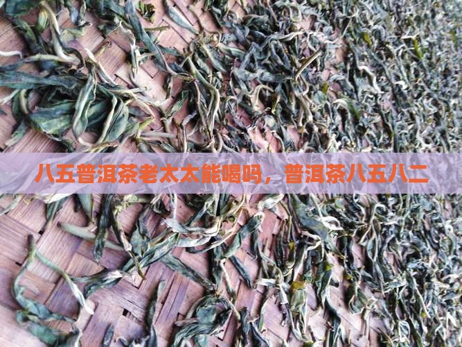 八五普洱茶老太太
