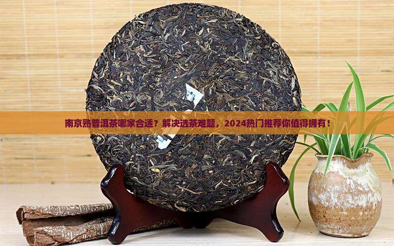 南京熟普洱茶哪家合适