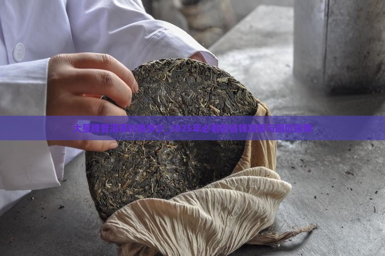 大星牌普洱茶价格多少