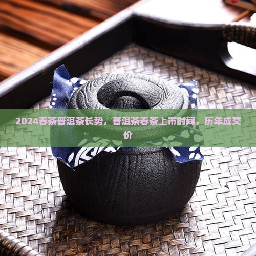 2024春茶普洱茶长势