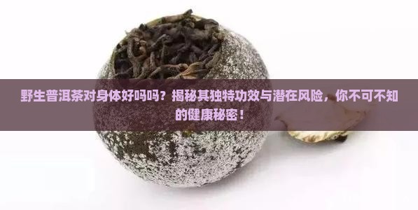 野生普洱茶对身体好吗吗