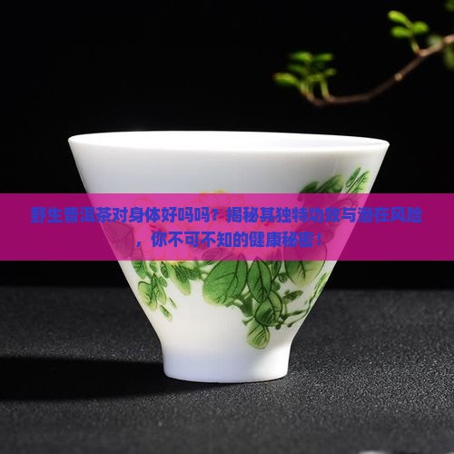 野生普洱茶对身体好吗吗