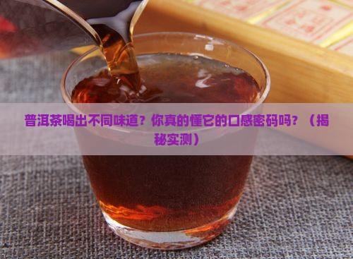 普洱茶分几种口感