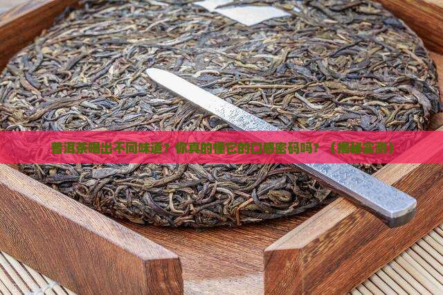 普洱茶分几种口感