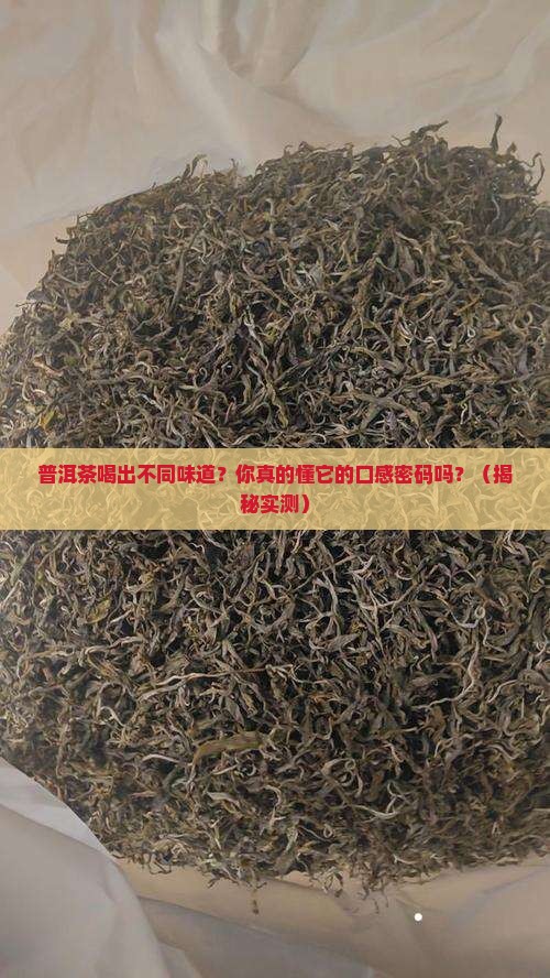 普洱茶分几种口感