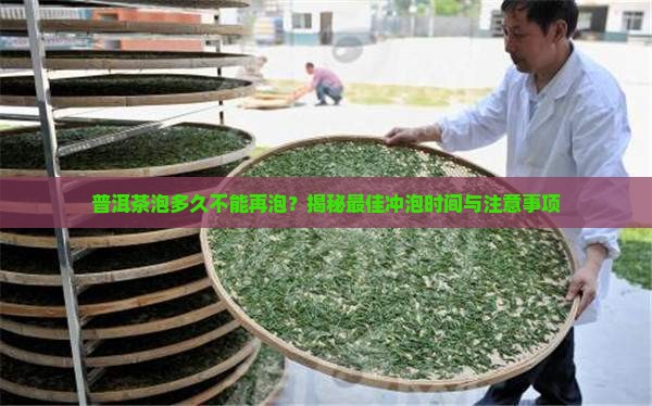 普洱茶泡多久不能再泡