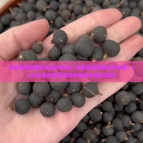 普洱茶熟茶茶叶是整片的吗