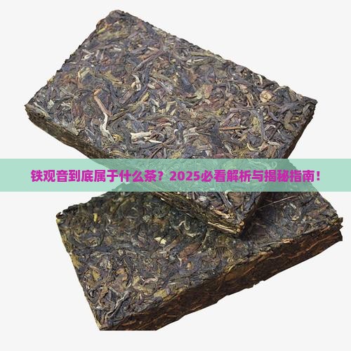 铁观音属于什么茶类别