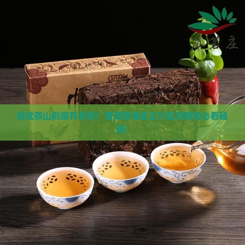 普洱茶易武之行