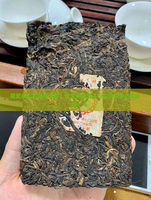 普洱茶易武之行