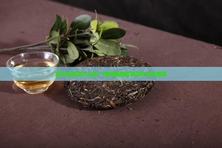 夏天喝什么茶好呢学生