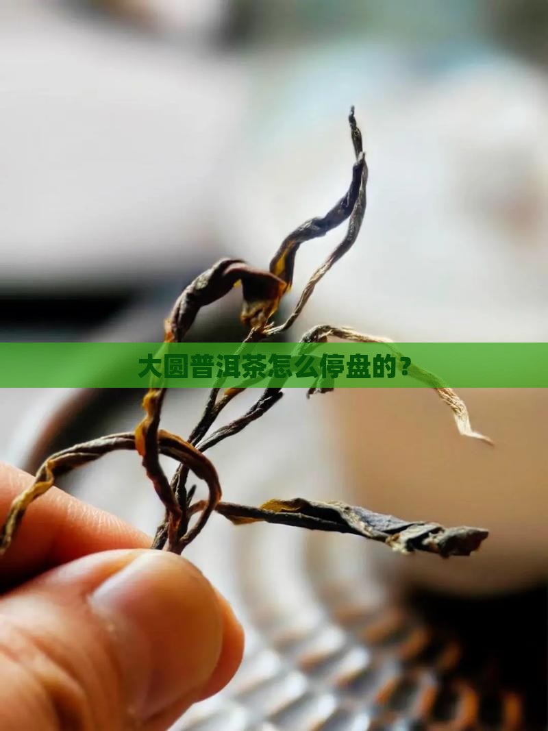 大圆普洱茶怎么停盘