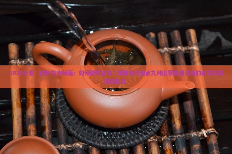 九种山寨版普洱茶