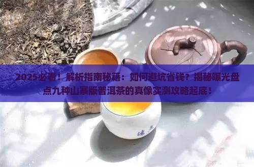 九种山寨版普洱茶