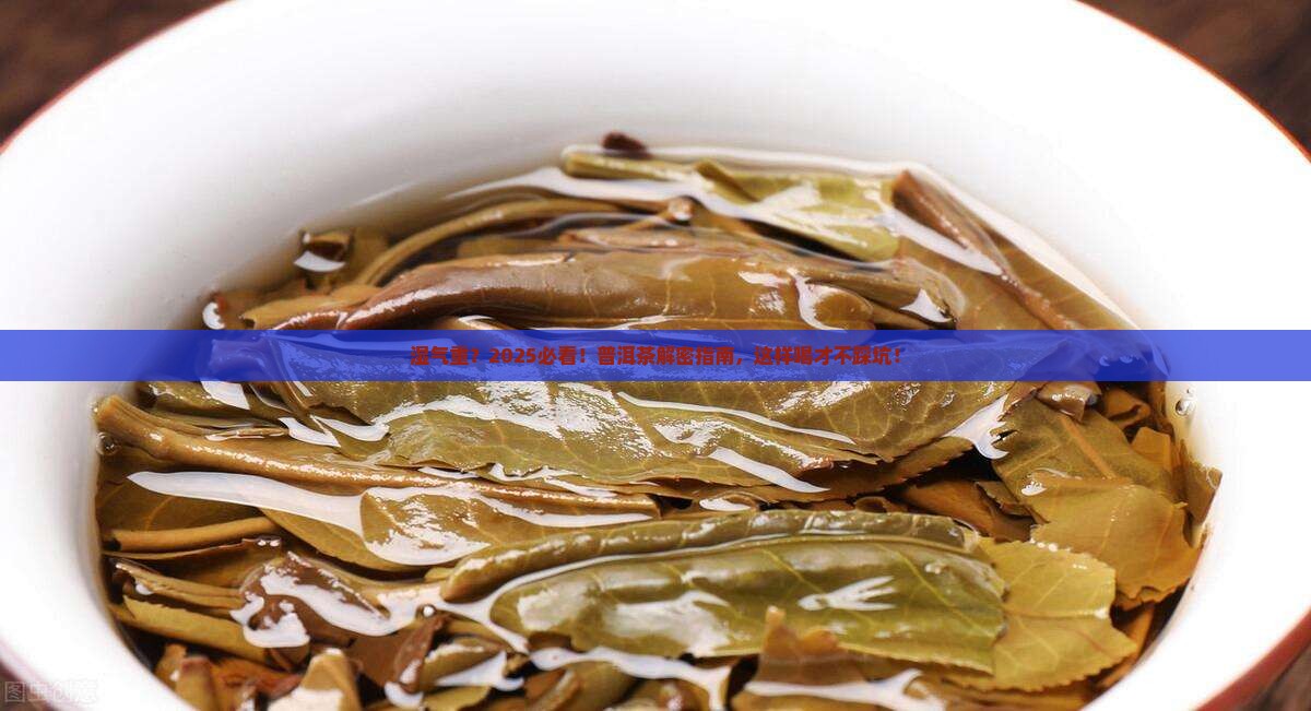 湿气大能喝普洱茶吗