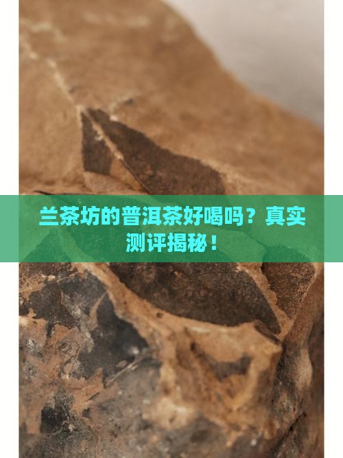 兰茶坊的普洱茶好喝吗