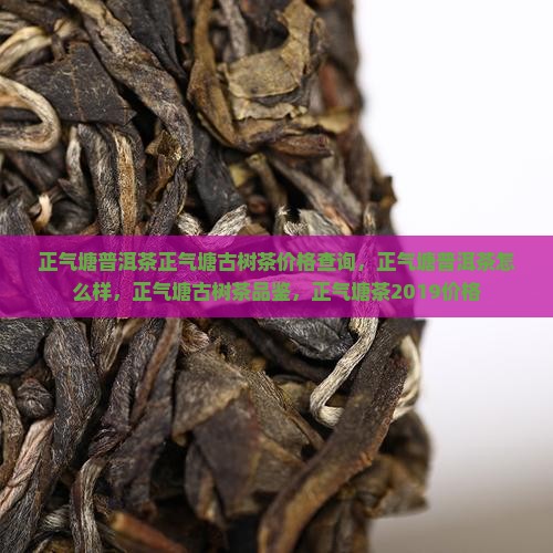 正气塘普洱茶正气塘古树茶价格