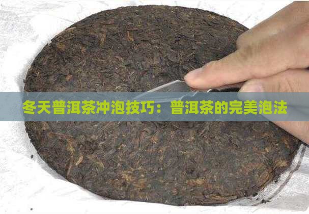 冬天普洱茶怎么样泡