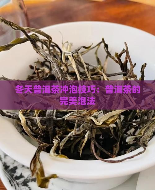 冬天普洱茶怎么样泡