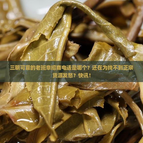 三明可靠的老班章招商电话